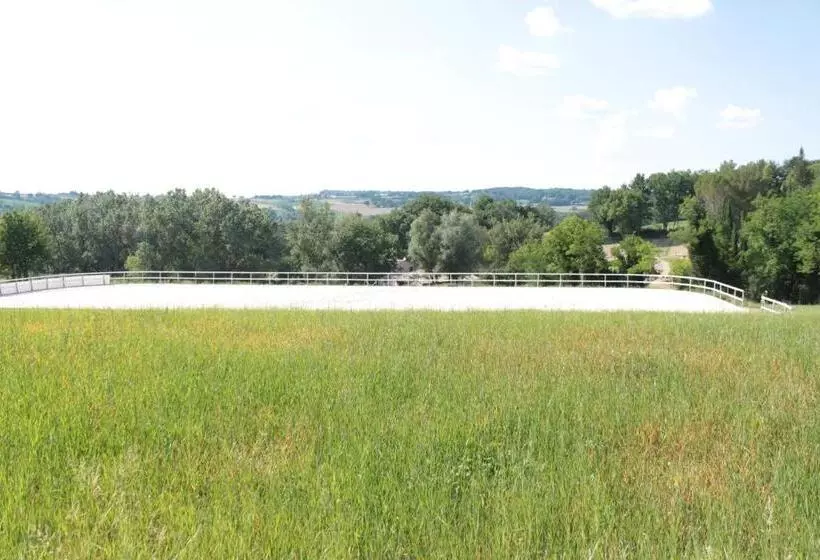 Radius Horse Ranch B&b