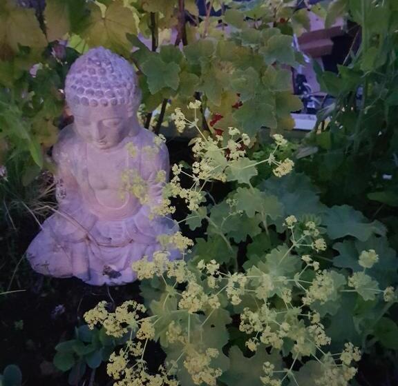 تختخواب و صبحانه Kelly S Euphrate Houseboat