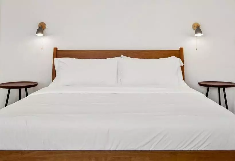 Hotelli Boutique Room Steps From Downtown Mall Rose Jean Room 2