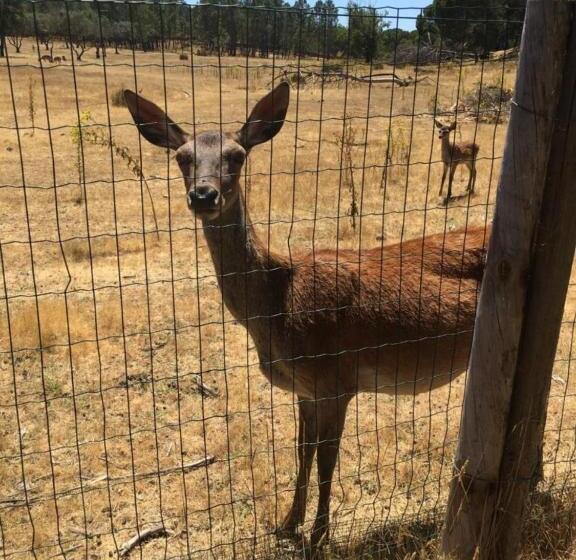 فندق Casa Da Gralheirinha