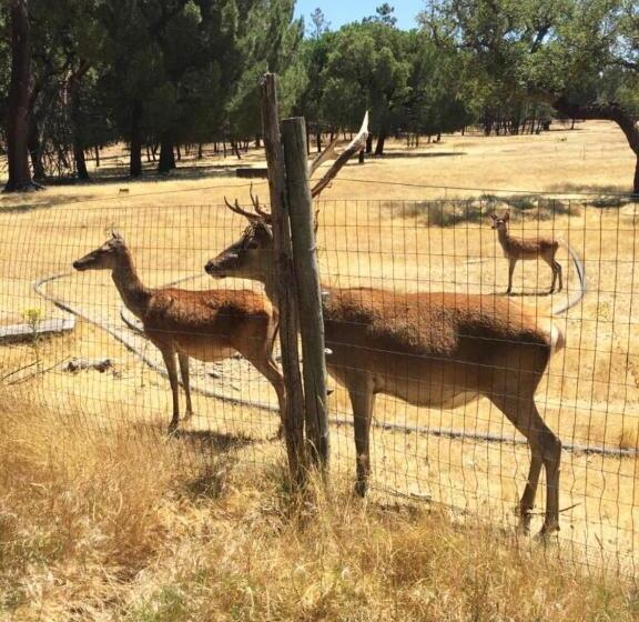 فندق Casa Da Gralheirinha