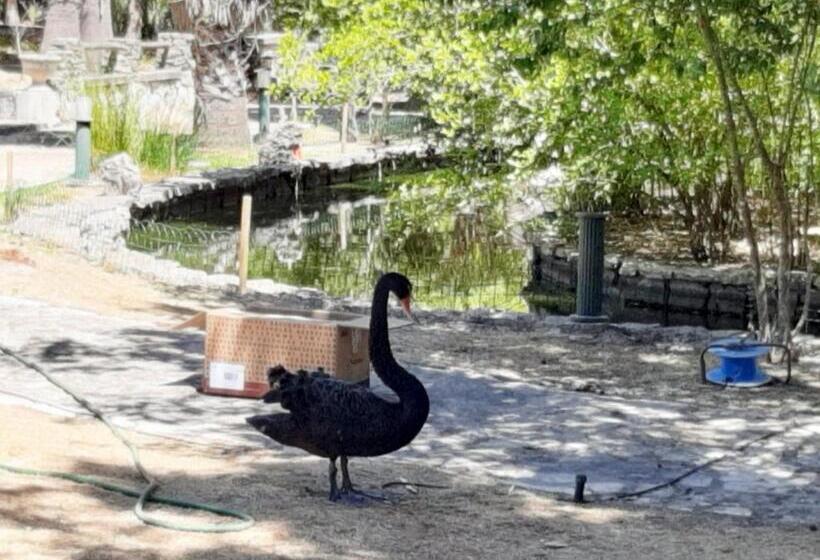 فندق Casa Da Gralheirinha