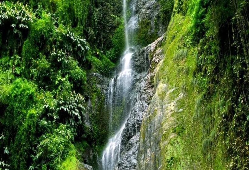Отель Royal Retreat   Shimla