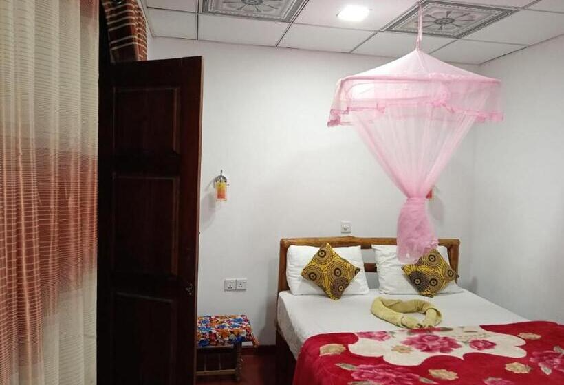 Pension Bird Nest Inn