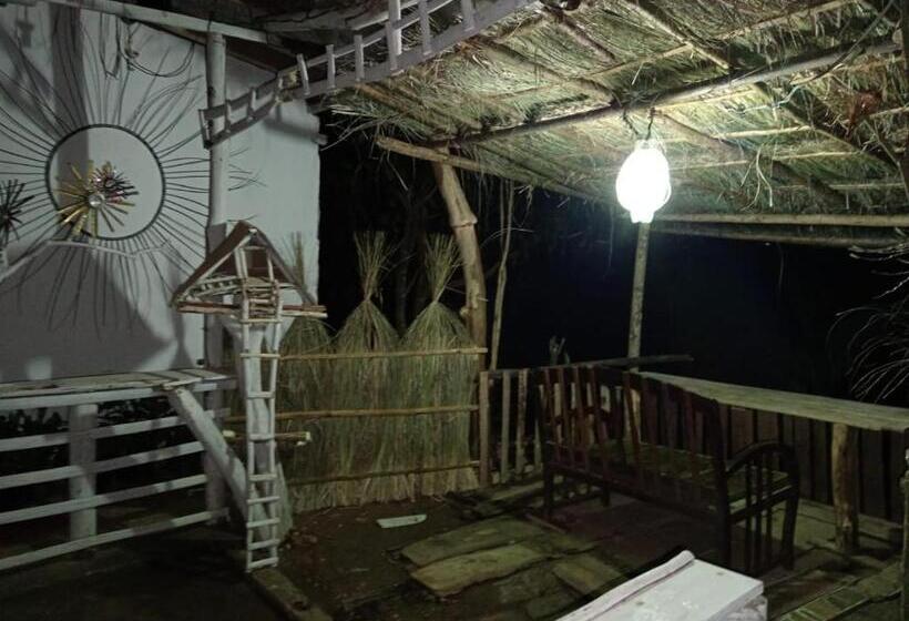 Pension Bird Nest Inn