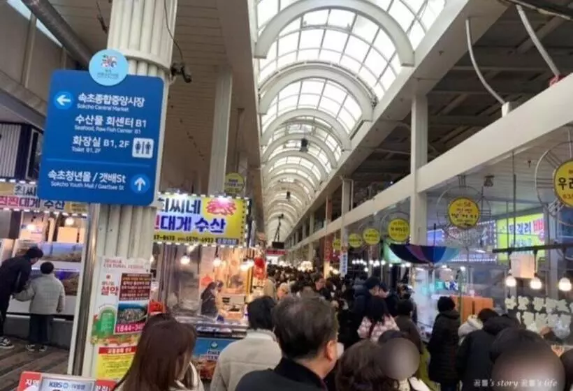 Sokcho Coco 2