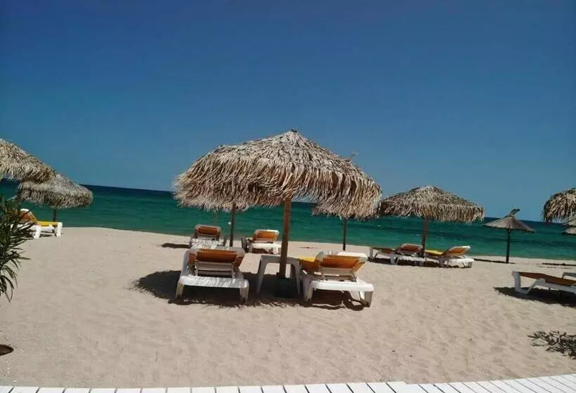 Studio Panoramic Sea On