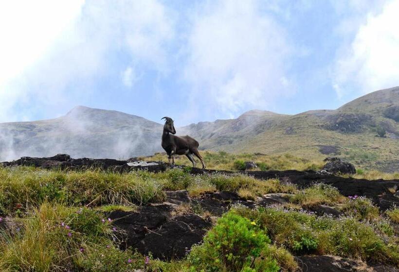 酒店 Moon Wings Mountain Resort