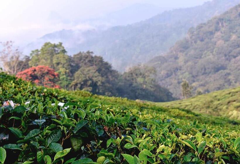 酒店 Moon Wings Mountain Resort