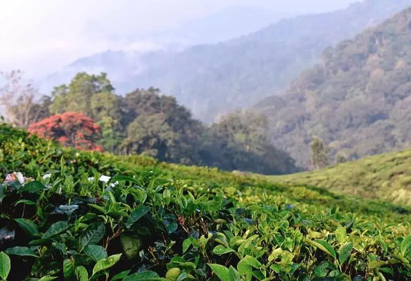 Hotelli Moon Wings Mountain Resort