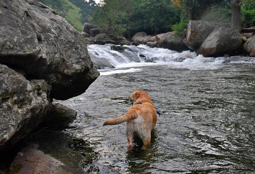 酒店 Moon Wings Mountain Resort