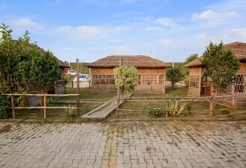 Hotel Oyo Dream Guest House