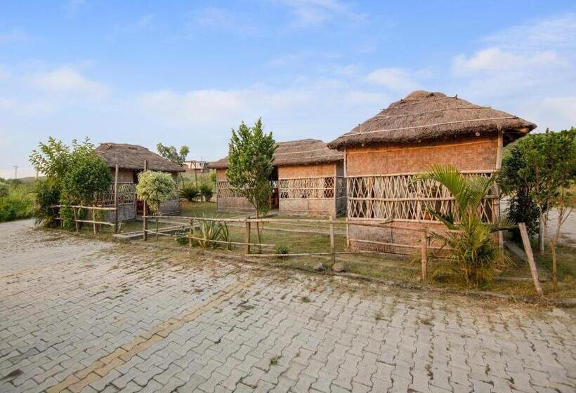 Hotel Oyo Dream Guest House