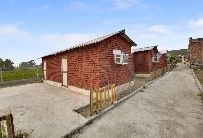 Hotel Oyo Dream Guest House