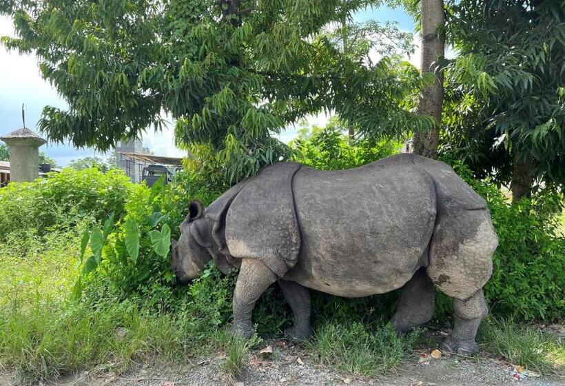 پانسیون 3 Angels B&b