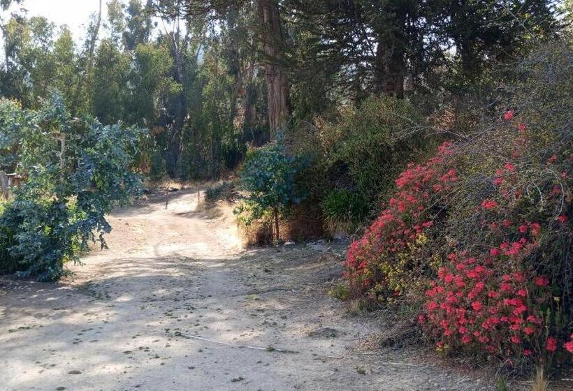 פנסיון Hostal La Chacarilla