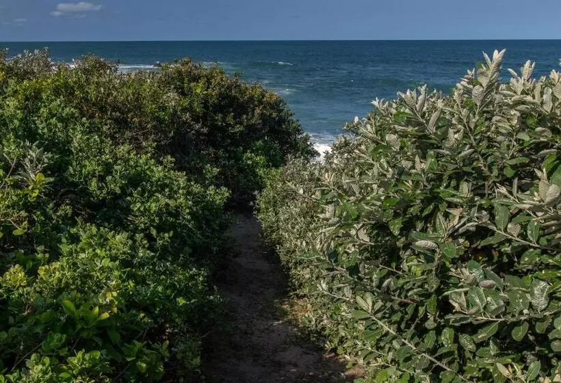 Majatalo The Beach Palace Ramsgate