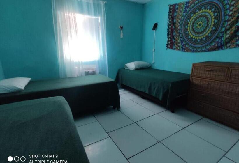 Raizes Surf And Bar Hostel