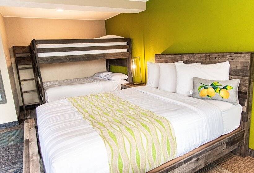 فندق American Classic Inn