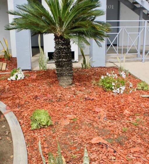 ホテル Crescent Inn