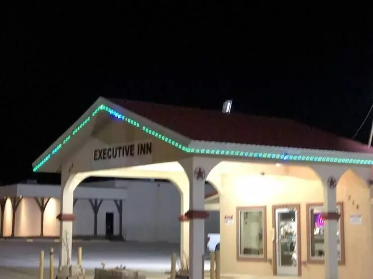 Hotelli Executive Inn Snyder