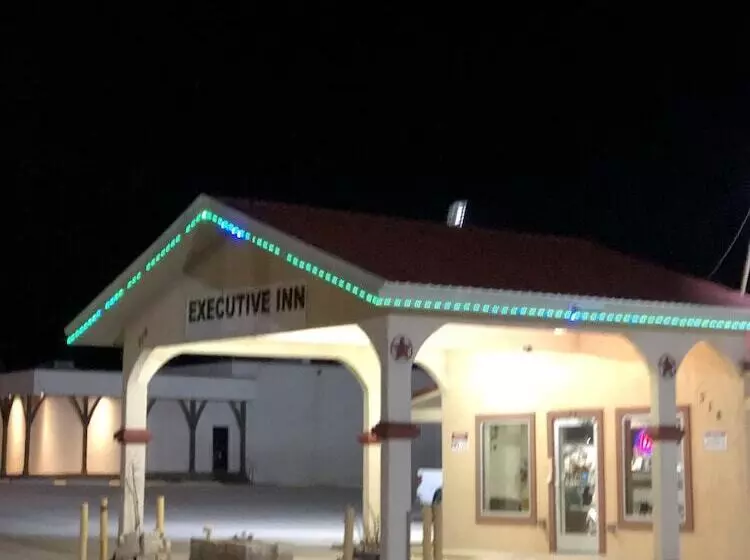 Hotelli Executive Inn Snyder