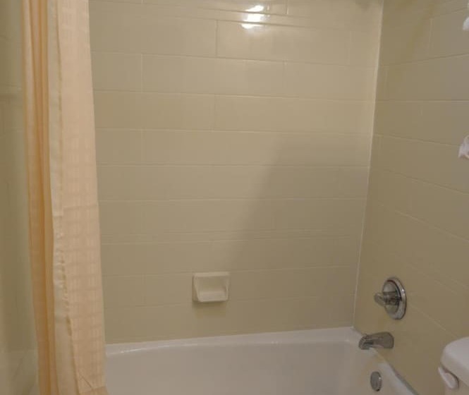 בית מלון כפרי Executive Inn Snyder