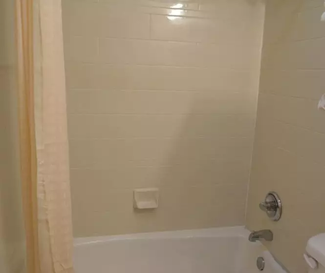 Hotelli Executive Inn Snyder
