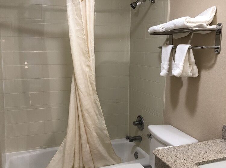 בית מלון כפרי Executive Inn Snyder