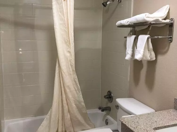 Hotelli Executive Inn Snyder