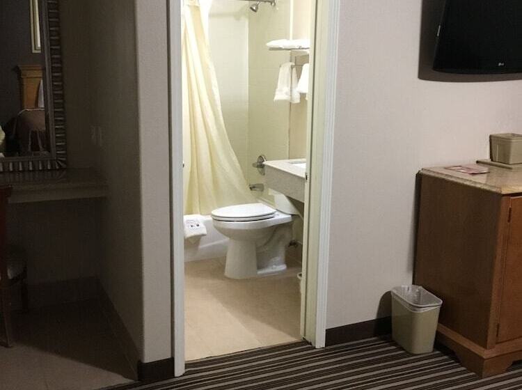 בית מלון כפרי Executive Inn Snyder