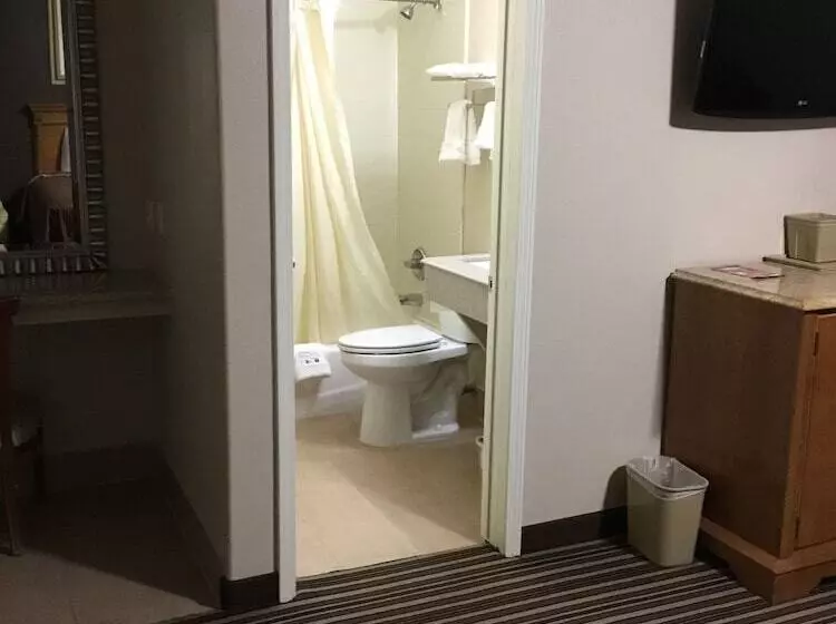 Hotelli Executive Inn Snyder