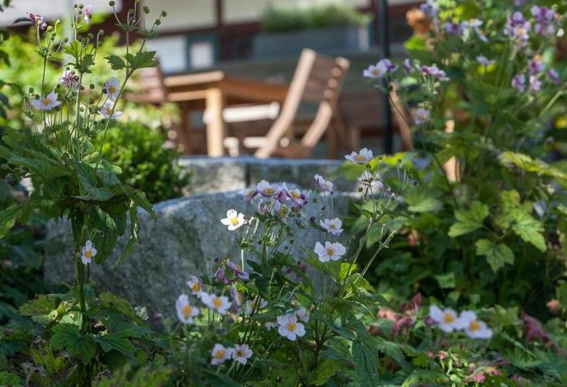 Hotel Gasthaus Zum Hirsch