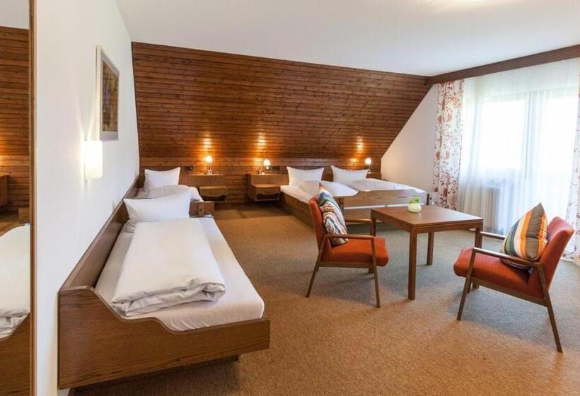 Hotel Gasthaus Zum Hirsch