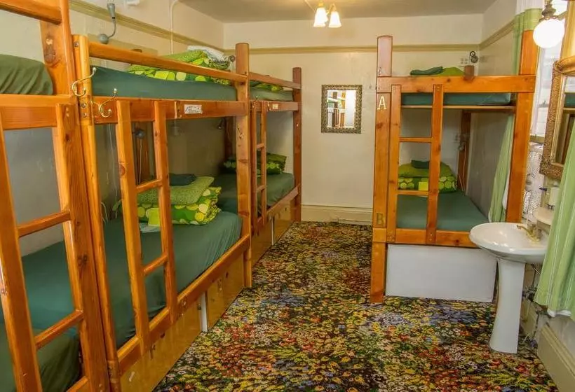 هتل Green Tortoise Hostel