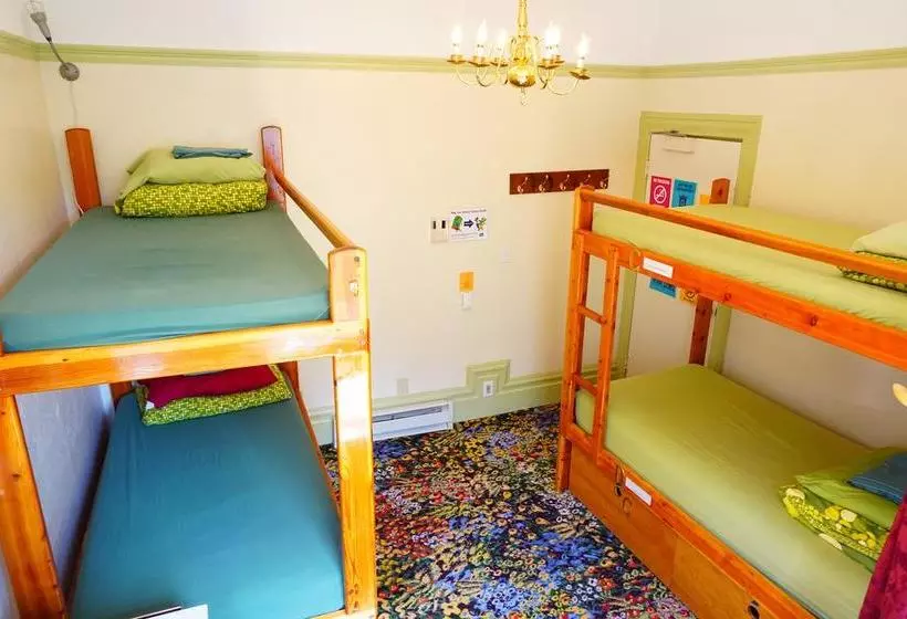 هتل Green Tortoise Hostel
