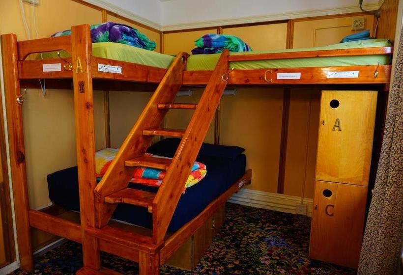 فندق Green Tortoise Hostel