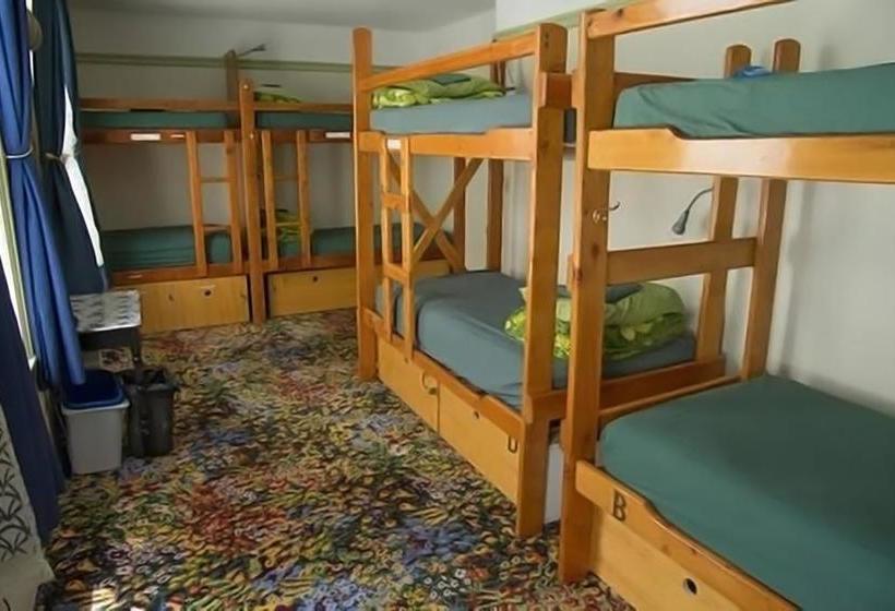 فندق Green Tortoise Hostel