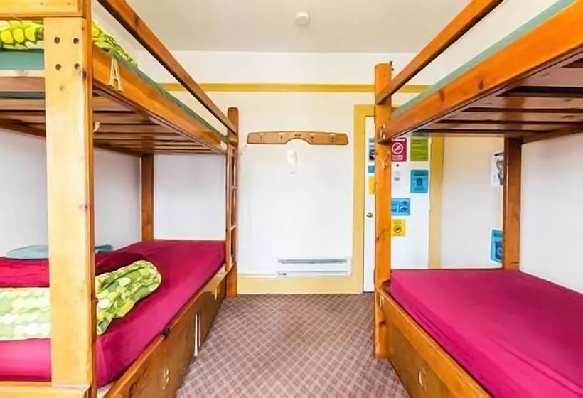 هتل Green Tortoise Hostel