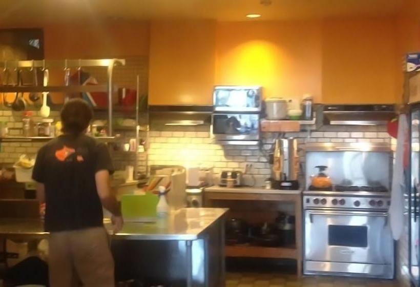 فندق Green Tortoise Hostel