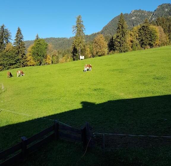 فندق Haus Theresia Alpbach