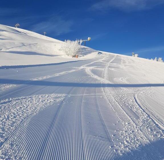 فندق Haus Theresia Alpbach