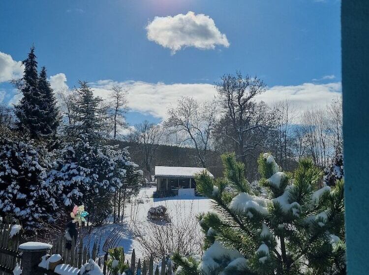 فندق Pension Ilmhof