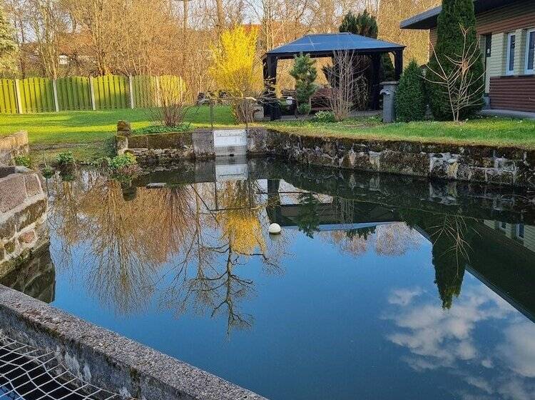 فندق Pension Ilmhof