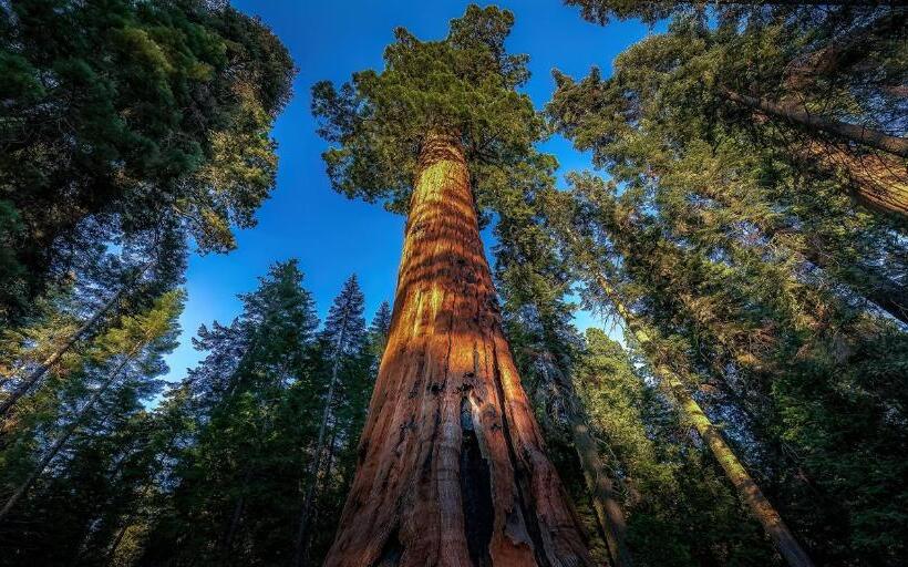 Отель Rio Sierra Riverhouse