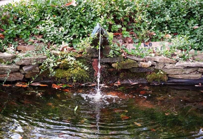 酒店 Shady Acre Inn And Suites