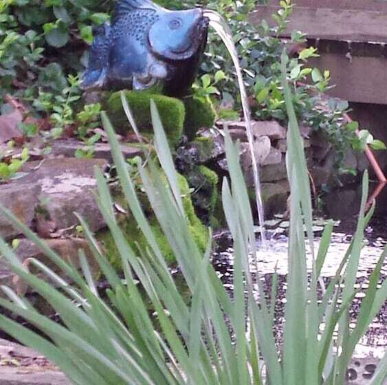 酒店 Shady Acre Inn And Suites