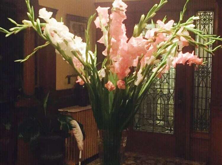 فندق Wc Lipe Mansion