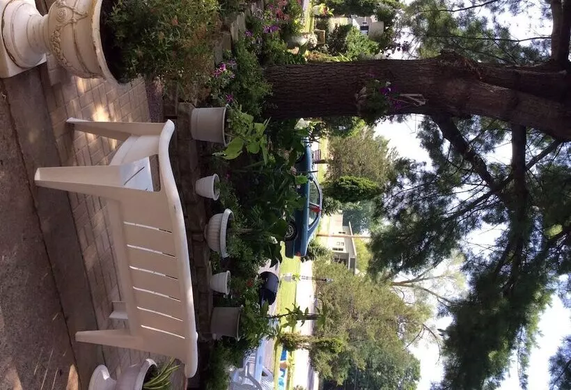 Spring Hill Motel