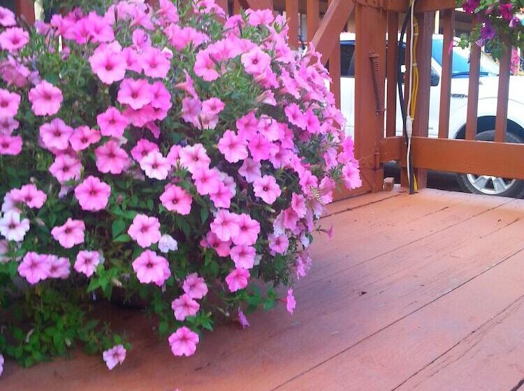 The River's Edge Motel Lodge & Resort